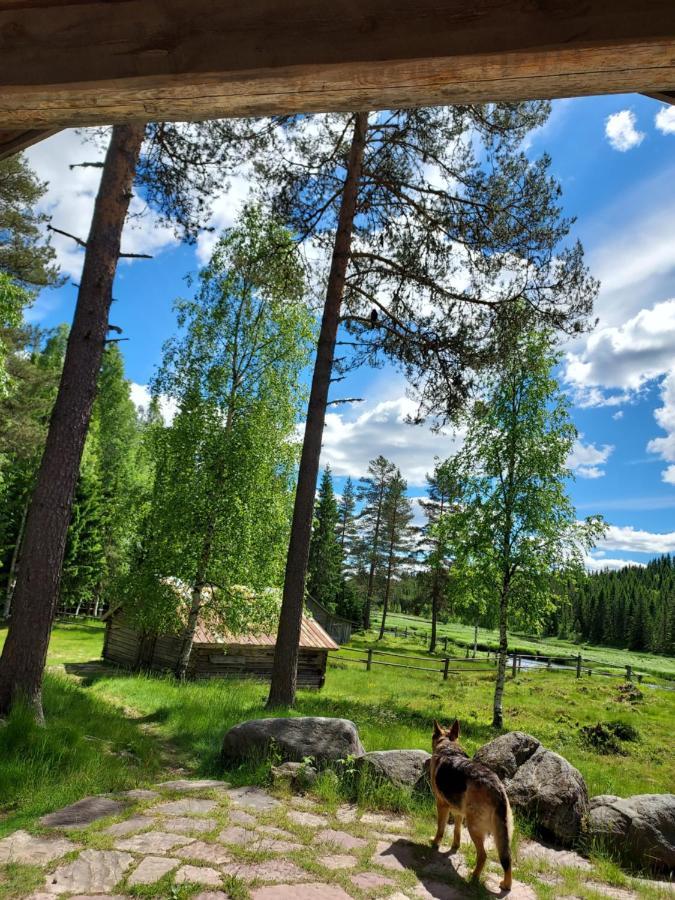Вилла The Old Logging Camp Yttermalung Экстерьер фото
