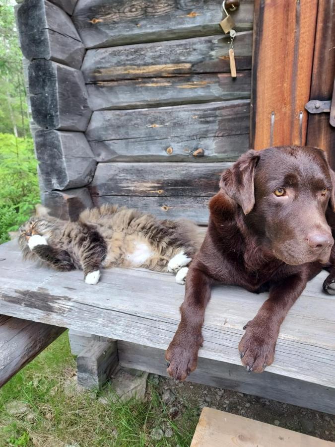 Вилла The Old Logging Camp Yttermalung Экстерьер фото