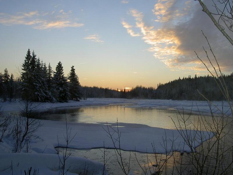 Вилла The Old Logging Camp Yttermalung Экстерьер фото