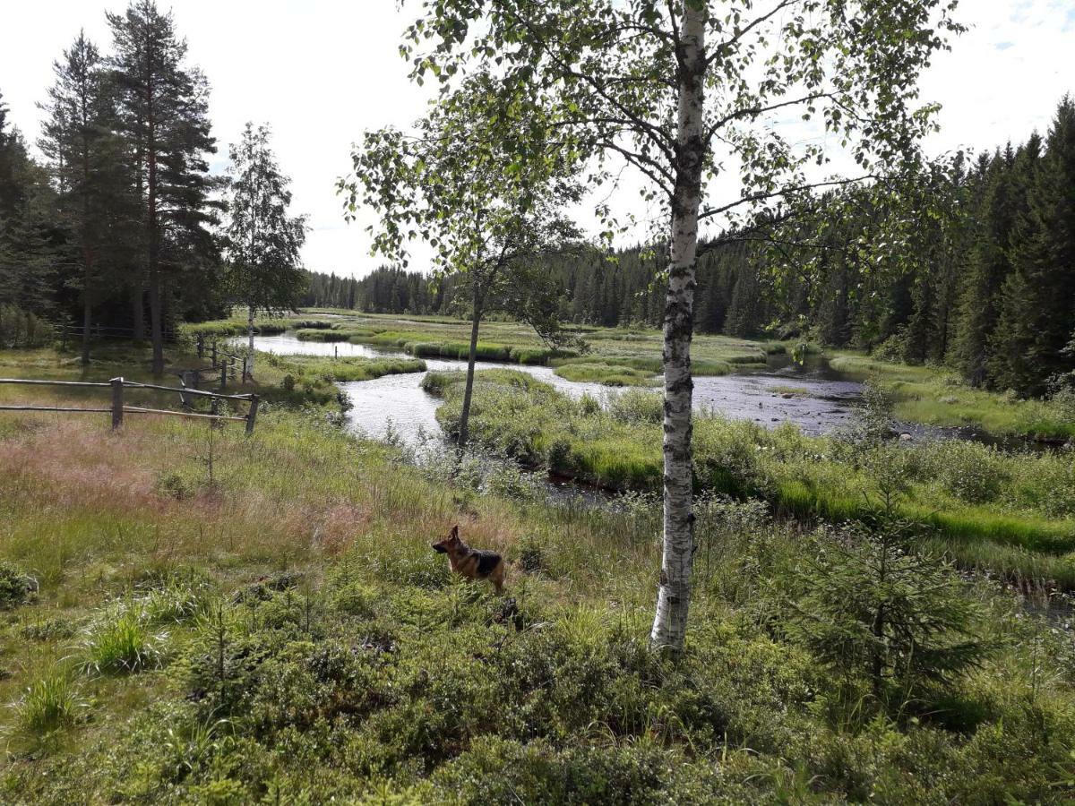 Вилла The Old Logging Camp Yttermalung Экстерьер фото