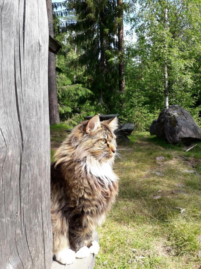 Вилла The Old Logging Camp Yttermalung Экстерьер фото